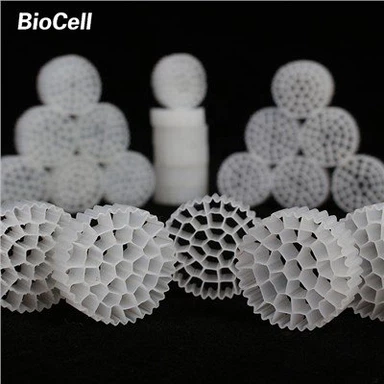 در حال حرکت تخت بیوفیلم رسانه ها